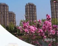 p9_b.jpg