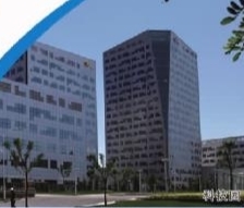 p12_b.jpg