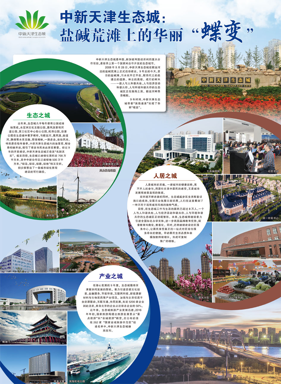 p1_b (1).jpg