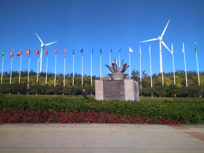 0414383315np.jpg