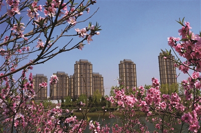 p1_b.jpg