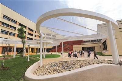 p8_b.jpg