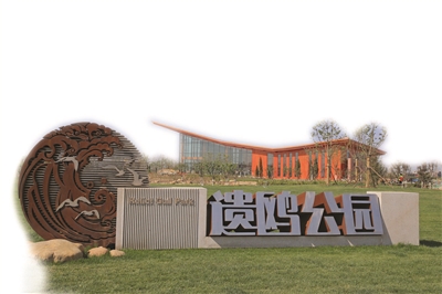 p9_b.jpg