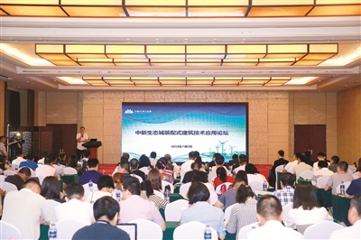 p1_b.jpg
