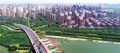 p1_b.jpg