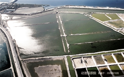 p27_b.jpg