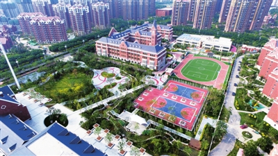 p29_b.jpg