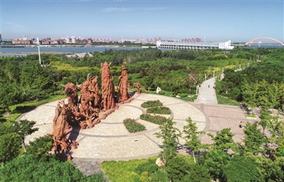 p7_b.jpg