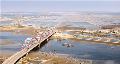 p8_b.jpg