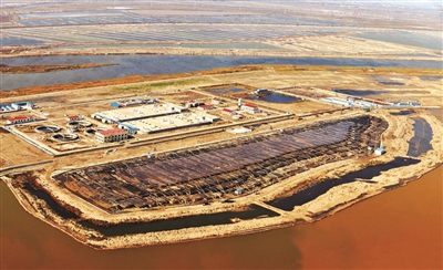 p10_b.jpg