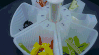20181111041558411.gif
