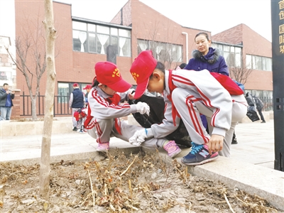 p1_b.jpg