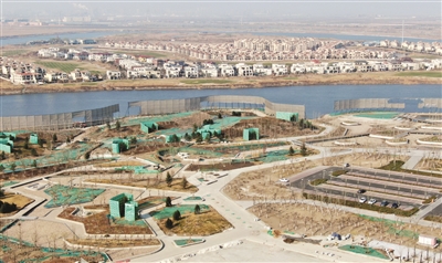 p1_b.jpg