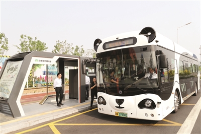 p7_b.jpg
