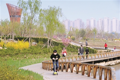 p1_b (1).jpg