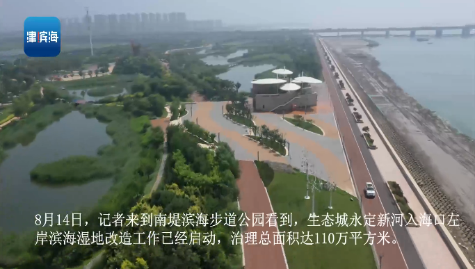 滨海县有多少人口_工程治水 生态修复